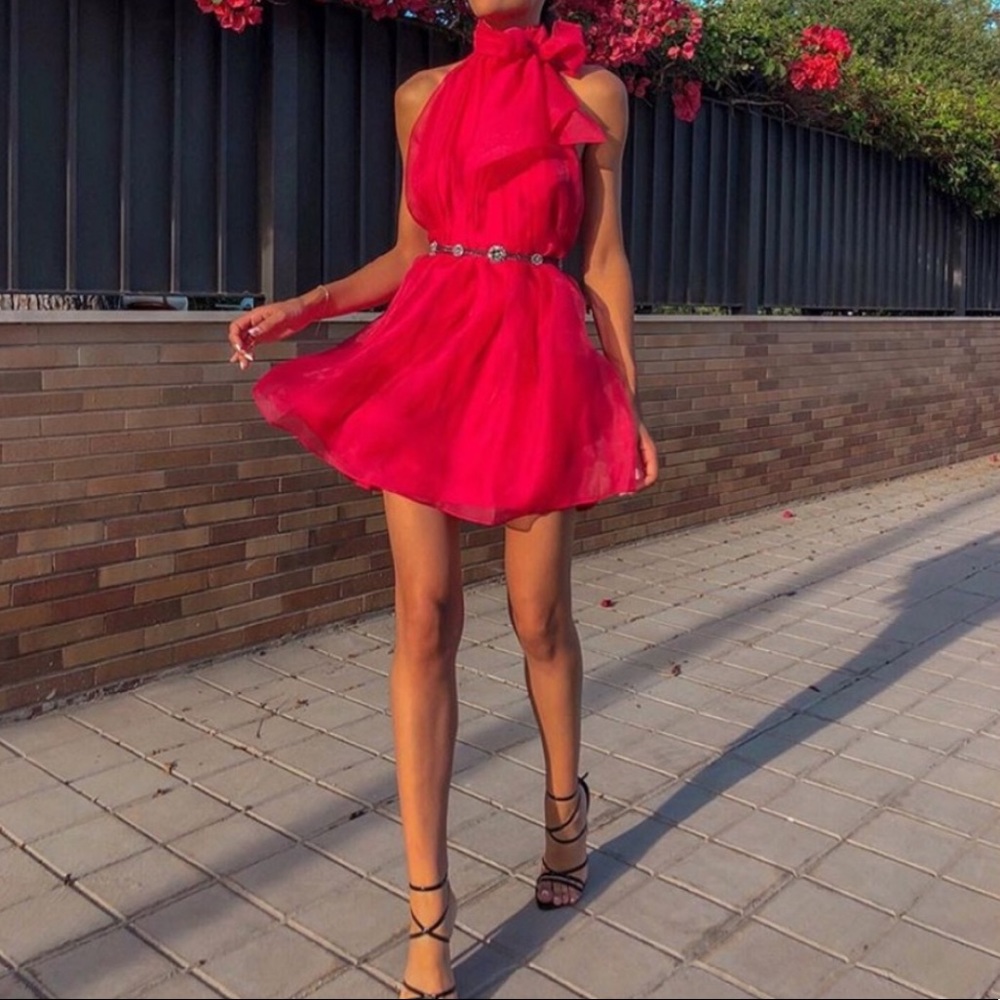 Zara Organza Limited Edition Tie Dress (Sz Large)